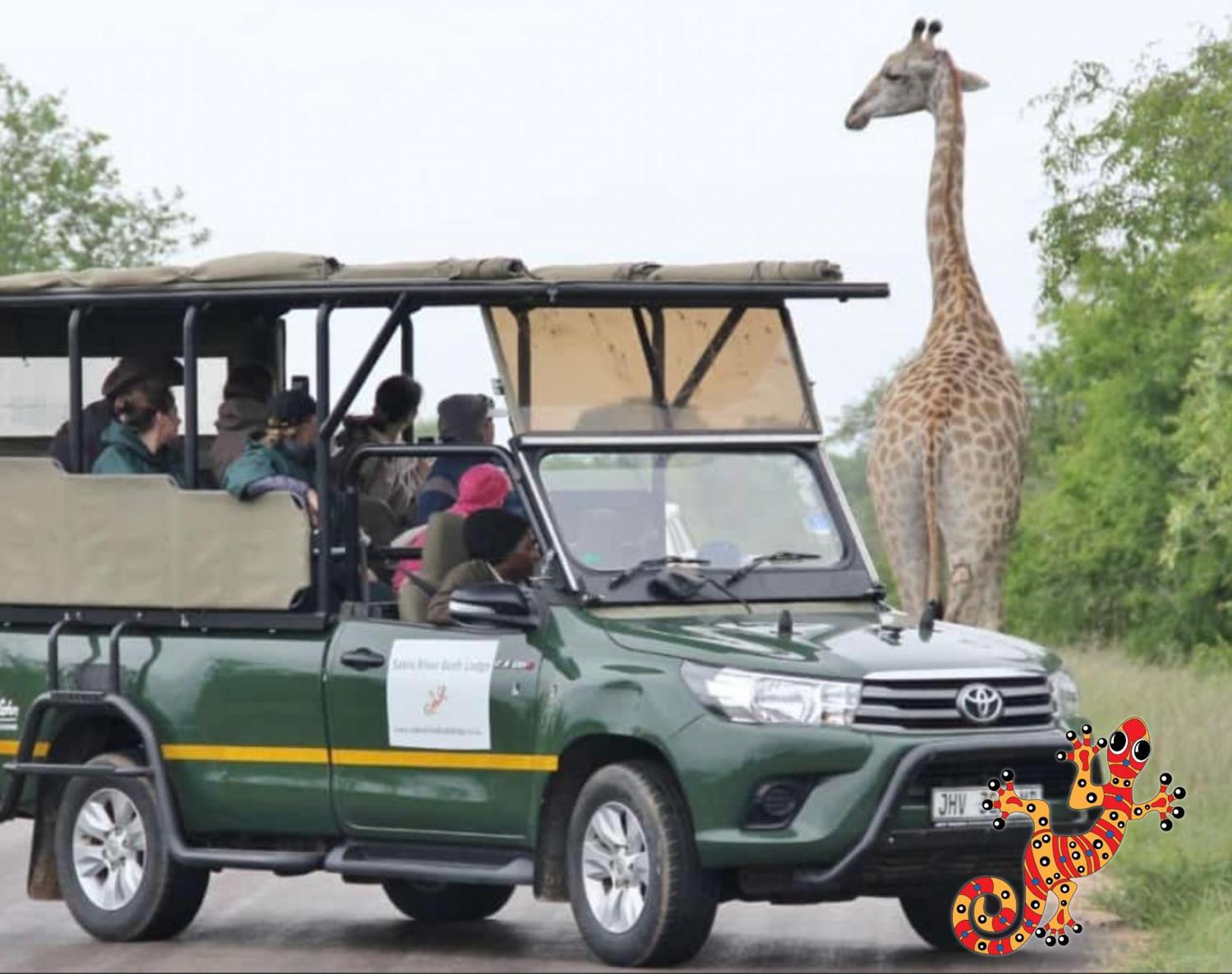 Sabie River Bush Lodge เฮซีวิว ภายนอก รูปภาพ