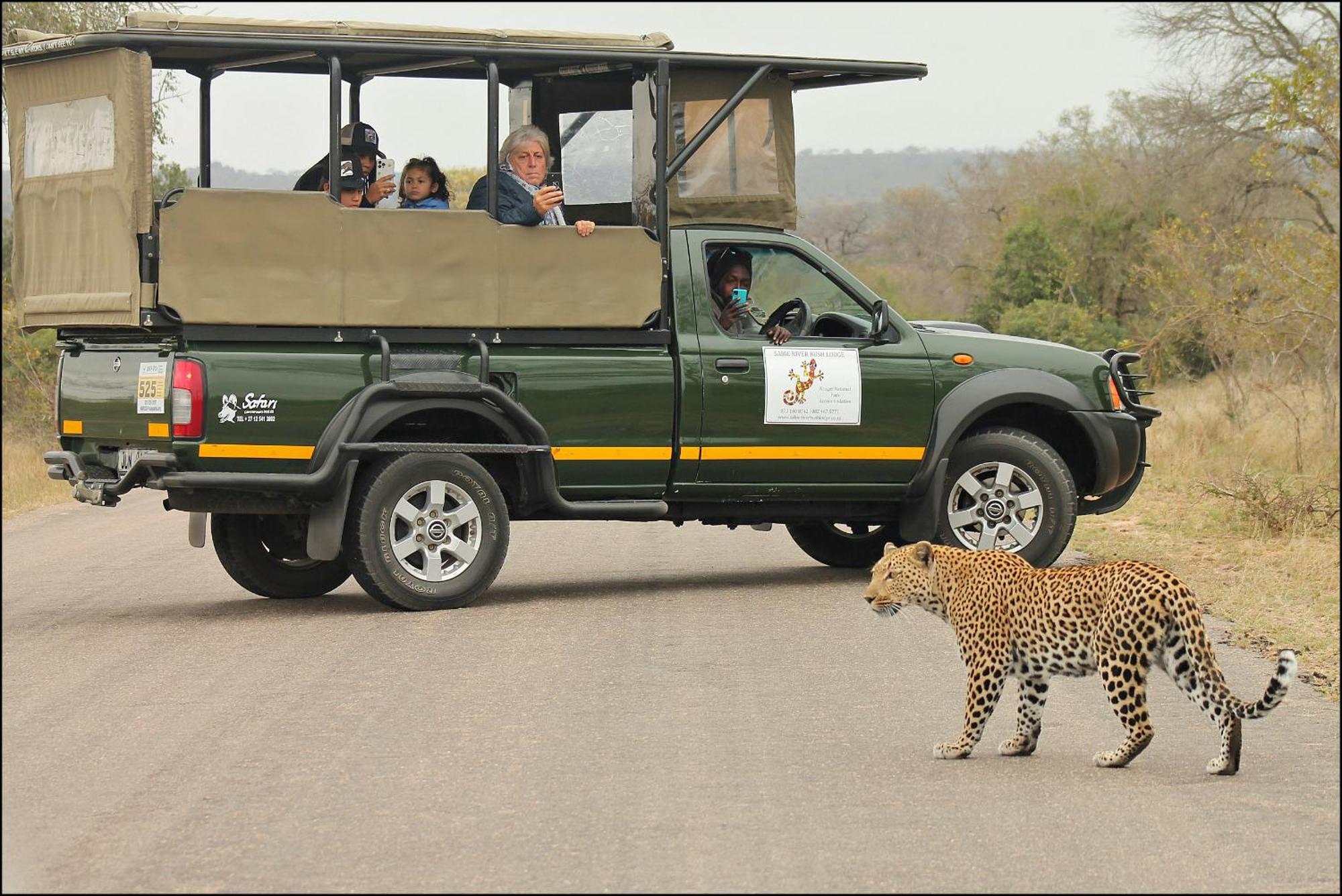 Sabie River Bush Lodge เฮซีวิว ภายนอก รูปภาพ