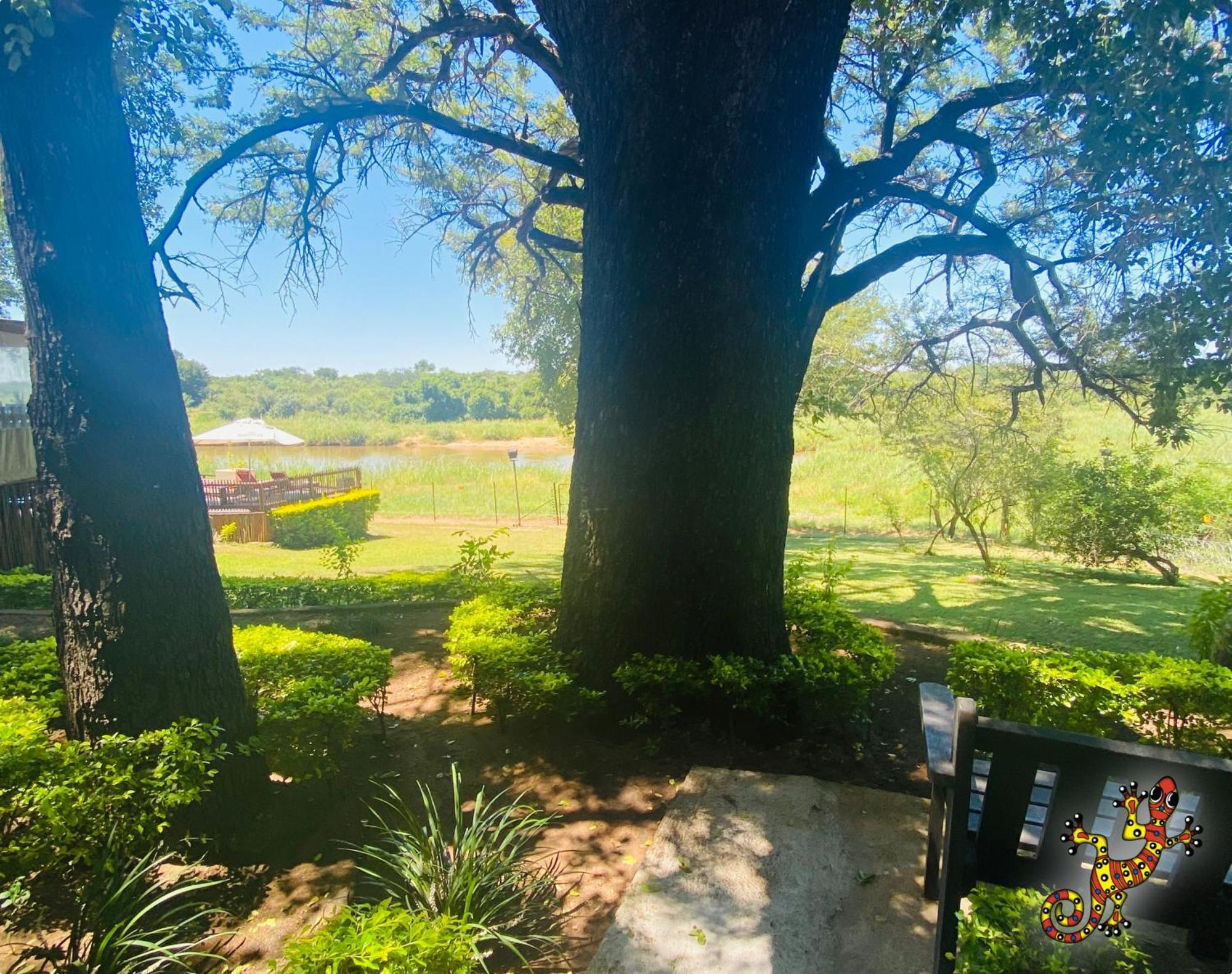 Sabie River Bush Lodge เฮซีวิว ภายนอก รูปภาพ